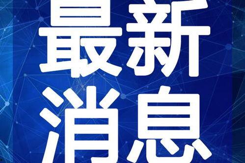 东莞外卖员爆料视频最新,揭秘外卖行业背后的辛酸与挑战