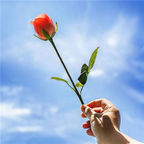 小花加油最新爆料图片大全,高清美图大揭秘！