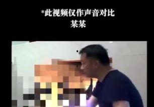 深夜爆料周立波录音视频,周立波惊人言论引发热议