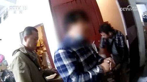安然爆料全过程视频,揭秘企业丑闻背后的真相与挣扎