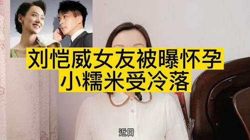 港媒爆料李晓峰视频,真相与争议交织