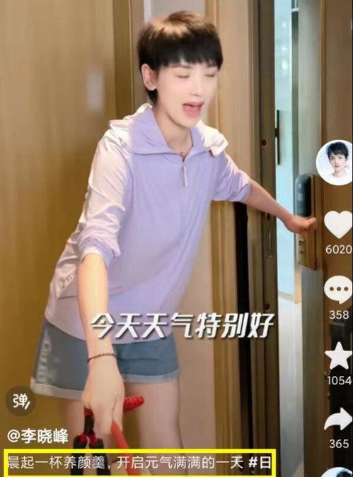港媒爆料李晓峰视频,真相与争议交织
