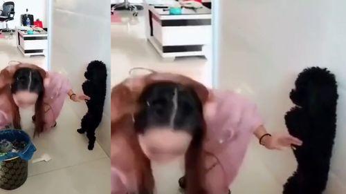 佛妹被爆料视频大全,揭秘网络爆料的真相与影响