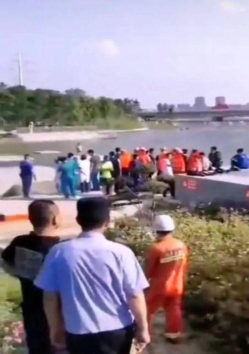 郑州汽油爆料事件始末最新消息,真相与争议交织的环保风波