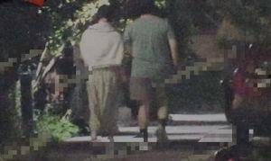 刘大锤爆料近期视频播放,近期热门视频幕后故事大曝光！