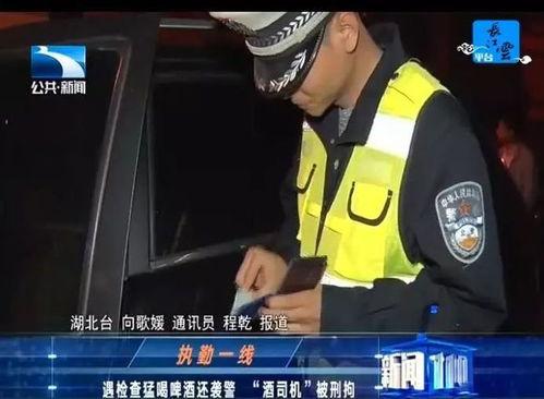 新闻爆料袭警视频播放大全,正义与勇气的较量