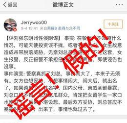 美国税局最新爆料案件,揭秘巨额逃税案件内幕