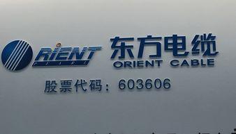 东方电缆最新爆料,揭秘行业新动态与技术创新