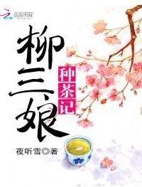 茶叶记在线观看,探寻千年茶文化的魅力之旅